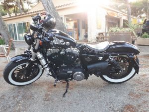 Sacoche Myleatherbikes Harley Sportster_21